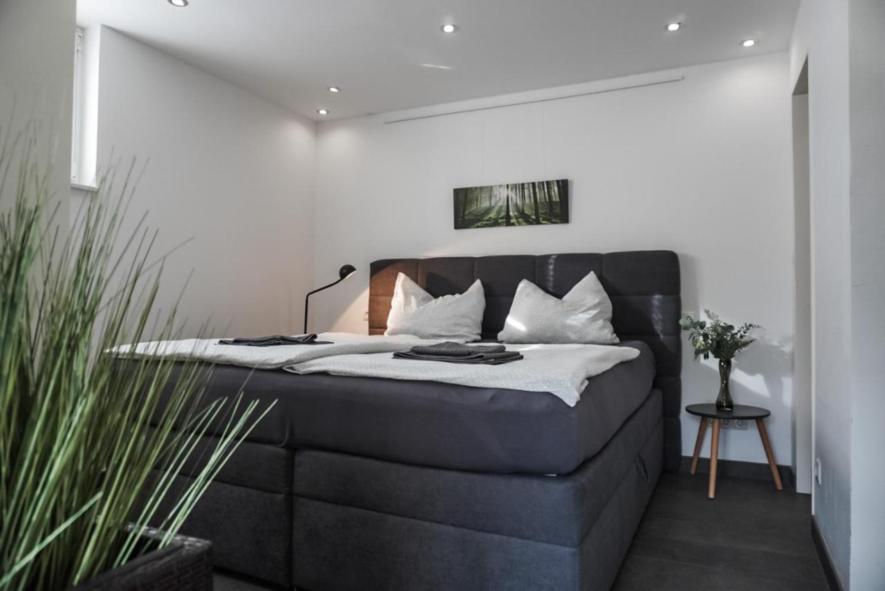 Neu Gebautes Apartment Mit Sonnenterasse In Der Naehe Vom Siebengebirge & Bonn 코니그스빈터 외부 사진